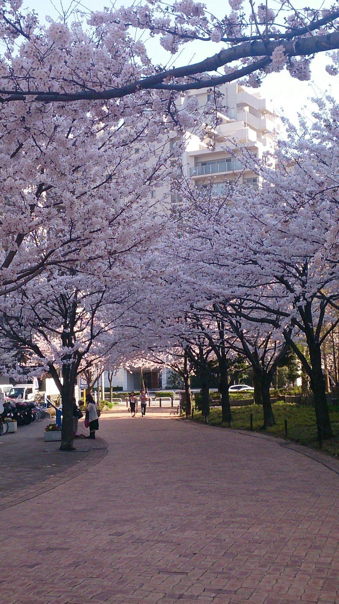 🏞️ 히가시시나가와 해상공원(히가시시나가와카이조코엔) 이미지 5